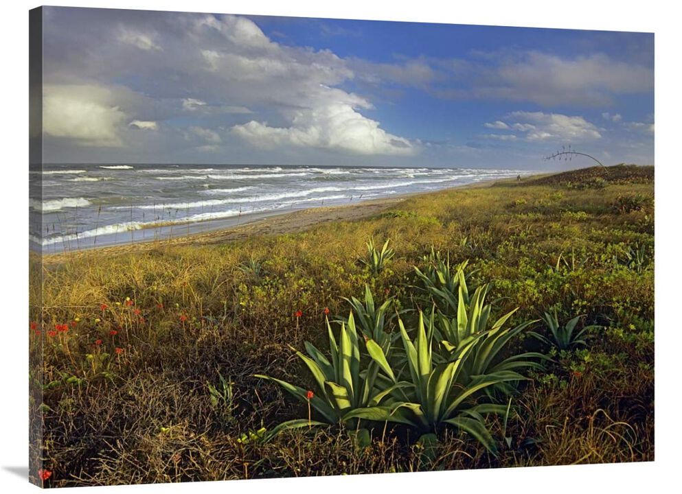Apollo Beach at Canaveral National Seashore, Florida-Canvas Art-40x30