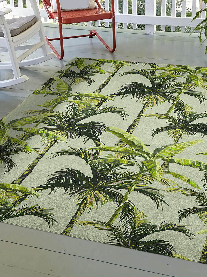 Tropics TC10 Collection