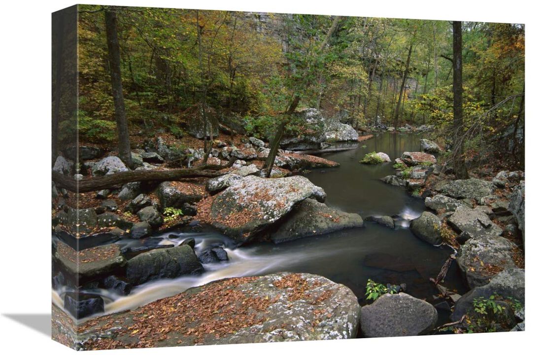 Cedar Creek flowing through deciduous forest, Petit Jean State Park, Arkansas-Canvas Art-16x12
