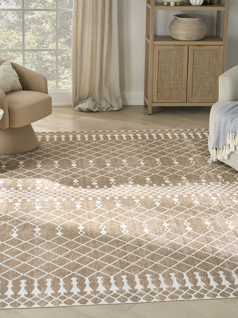 Astra Machine Washable ASW10 Taupe 9' x 12' Rug