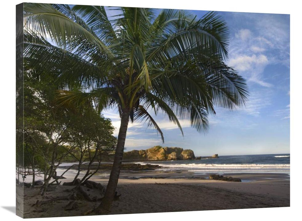 Palm trees line Pelada Beach, Costa Rica-Canvas Art-32x24