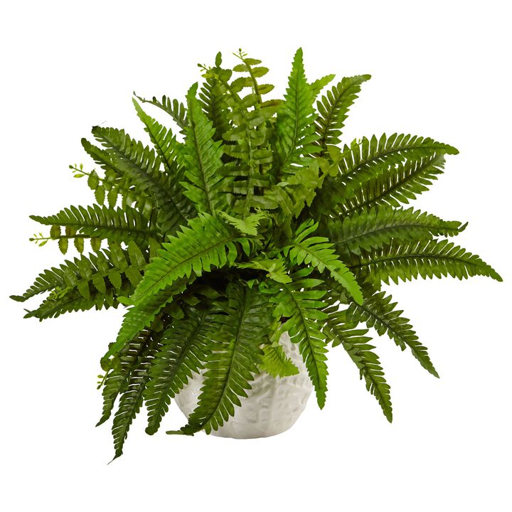 Hivvago Boston Fern in White Planter Hivvago Boston Fern in White Planter