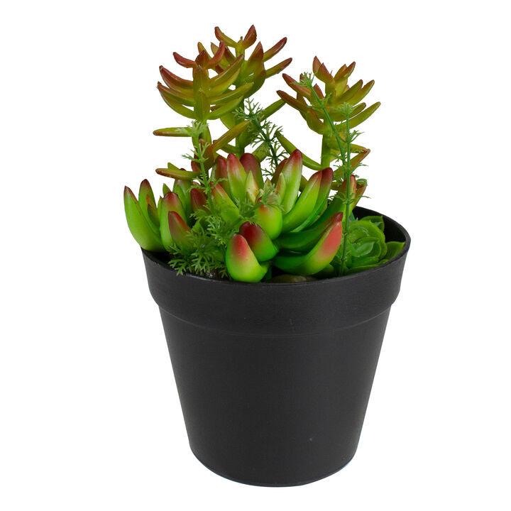 8" Green and Red Artificial Mixed Succulent Plant Arrangement 8" Green and Red Artificial Mixed Succulent Plant Arrangement