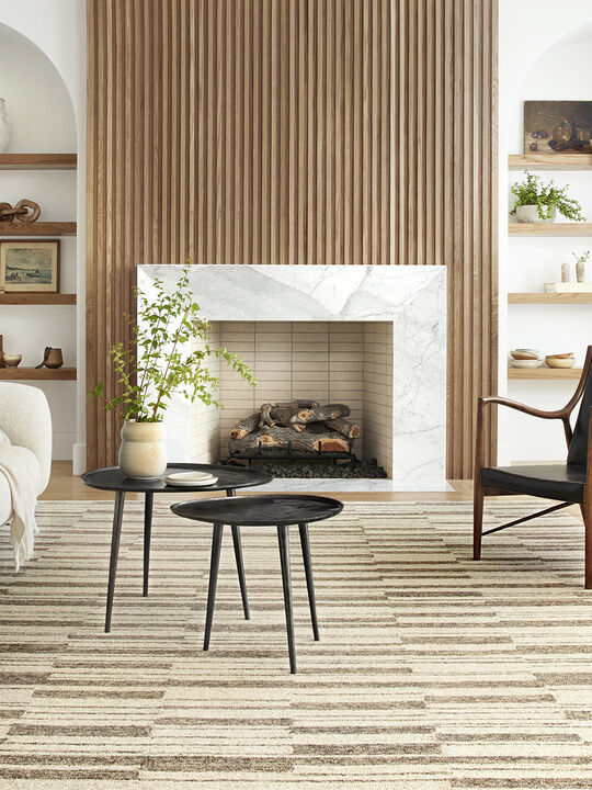 Polly POL04 Beige/Tobacco 3'6" x 5'6" Rug
