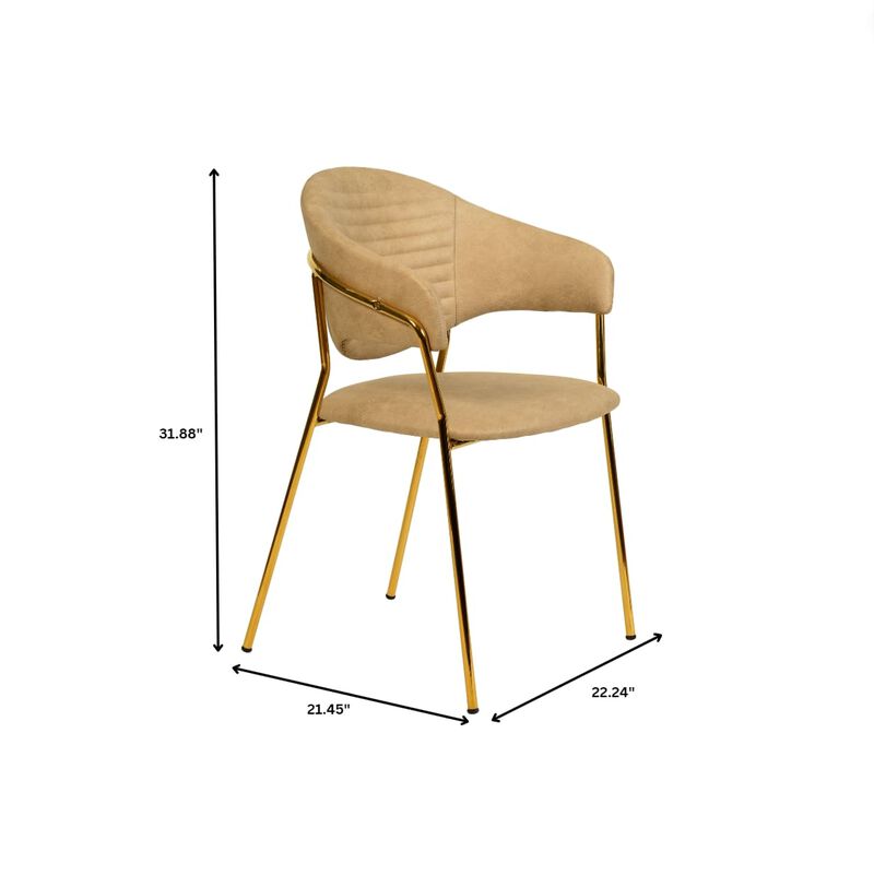 Bella Modern Dining Chair Upholstered in Leather With Stainless Steel Base Set of 2