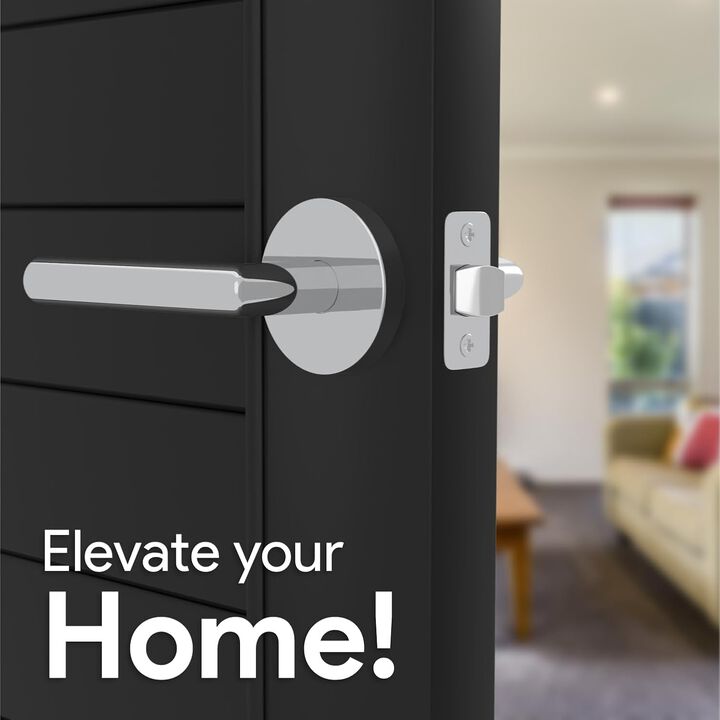 Mega Handles | Ronn Passage Lever