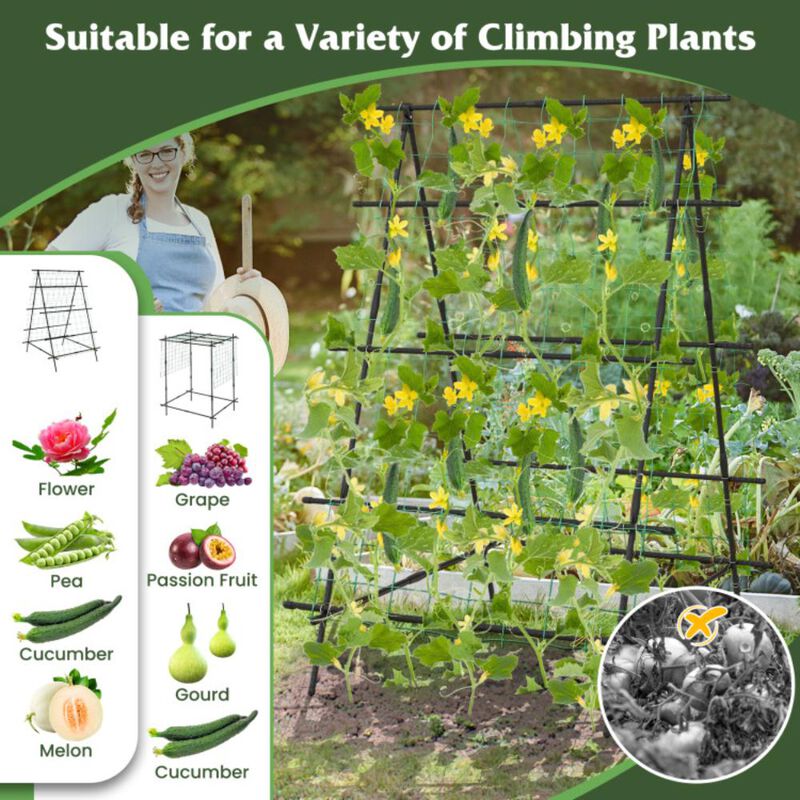 Hivvago A-Frame Garden Cucumber Trellis with Netting for Climbing Plants Outdoor