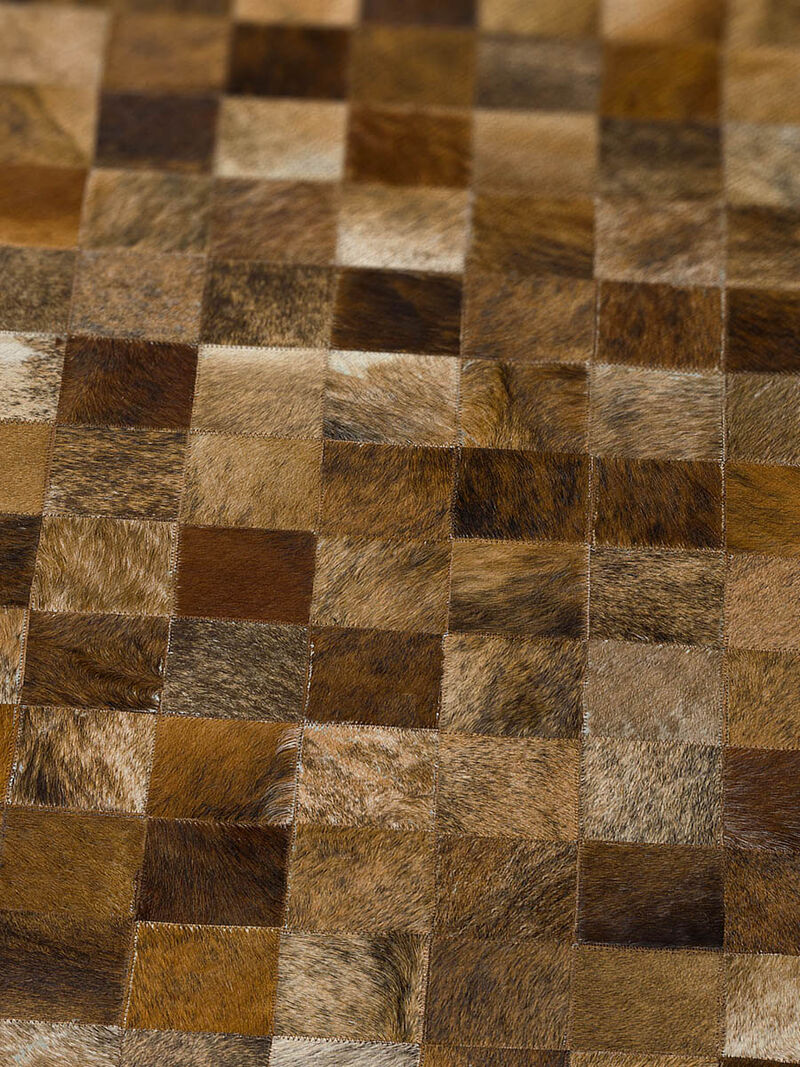 Stetson SS2 Bison 5' x 7'6" Rug