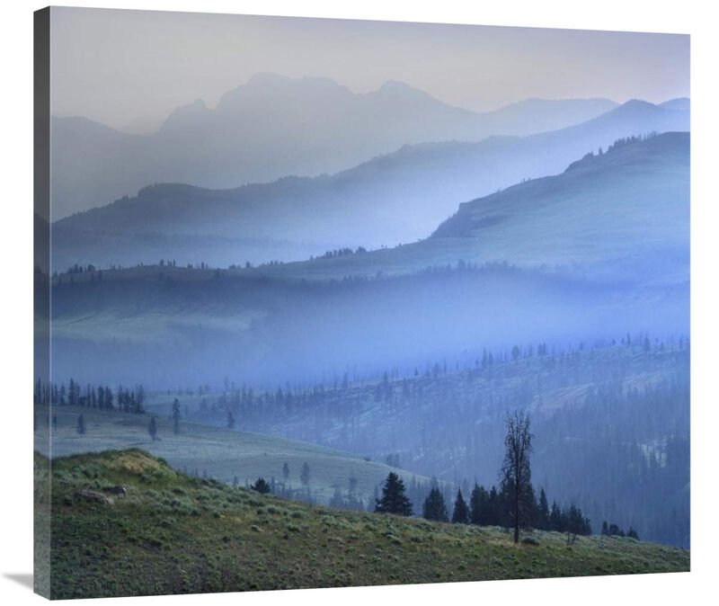 Mist over Absaroka Range, Yellowstone National Park, Wyoming-Canvas Art-36x32.04