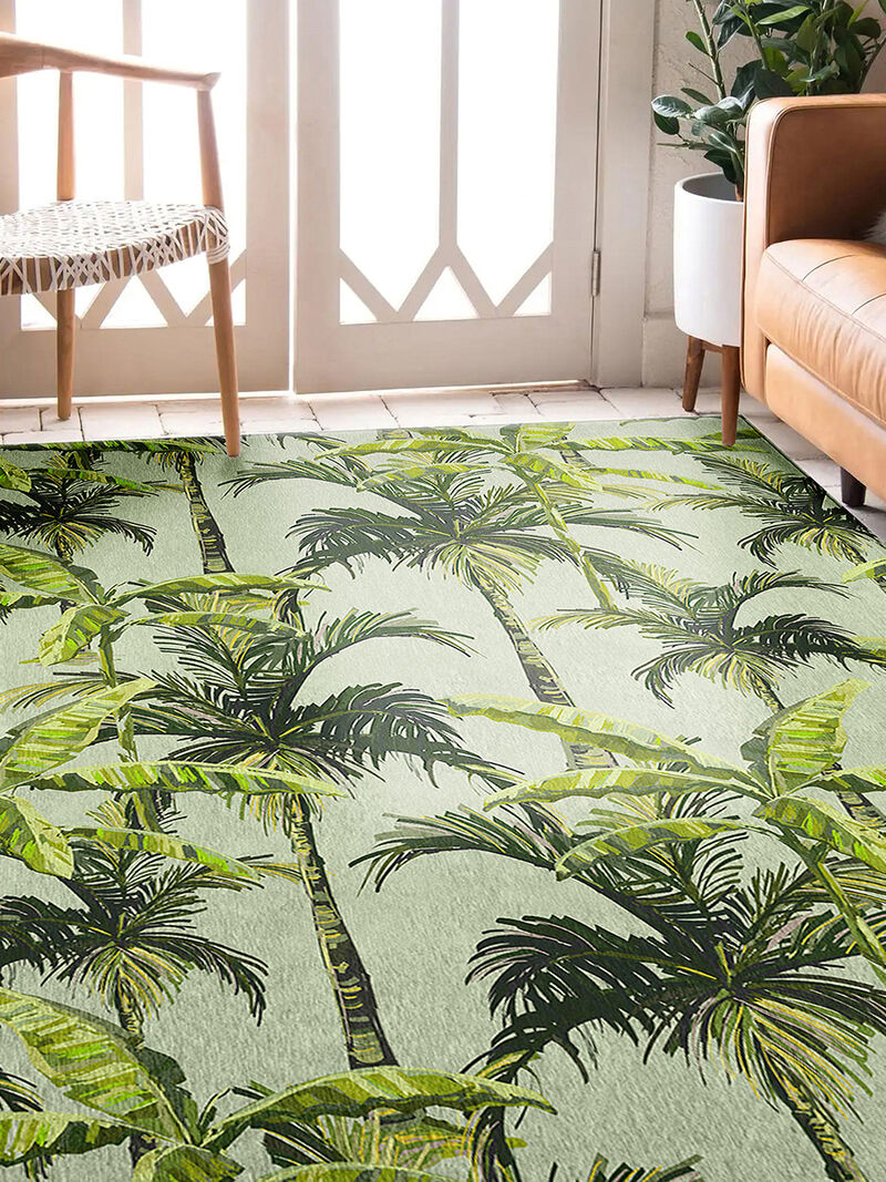 Tropics TC10 Collection