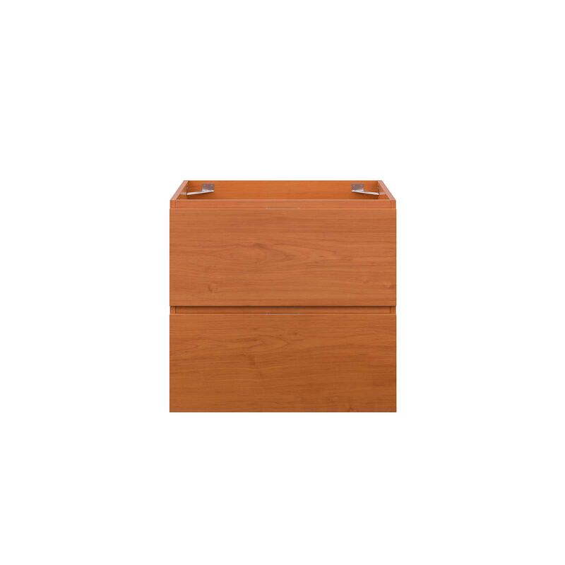 Scenic 24" Wall-Mount Bathroom Vanity Cabinet