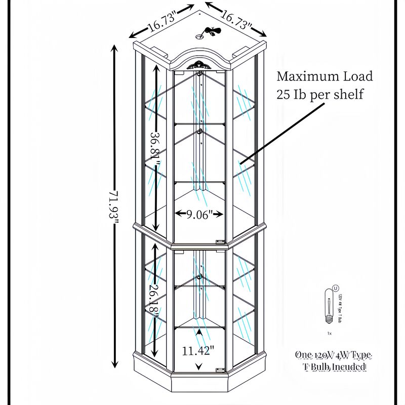 Elegant Glass Curio Cabinet with Lights and Adjustable Shelves