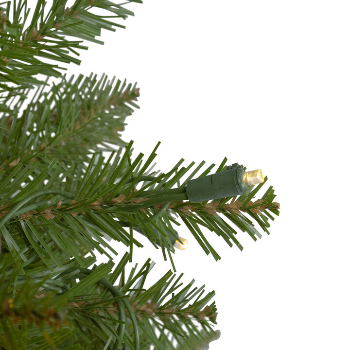 12' Pre-lit Northern Pine Full Artificial Christmas Tree - Warm Clear LED Lights