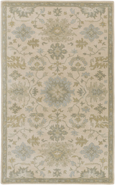 Caesar CAE-1197 4' x 6' Beige Rug
