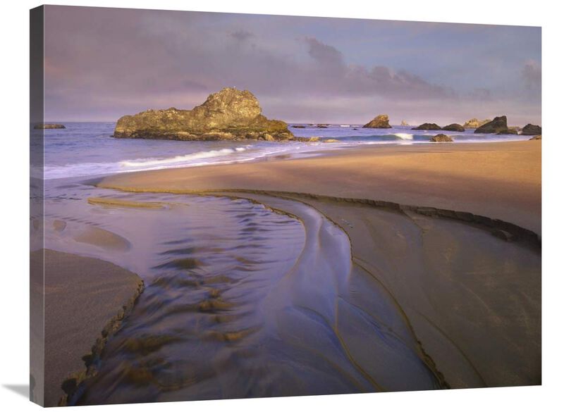 Creek flowing into ocean at Harris Beach State Park, Oregon-Canvas Art-32x24