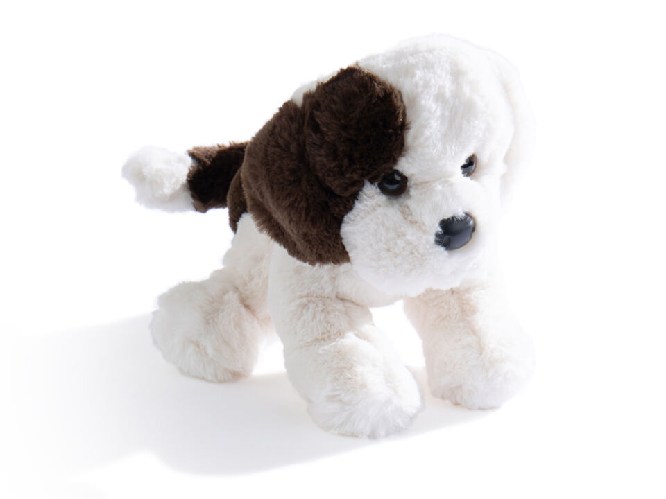 Mattie's Puppy