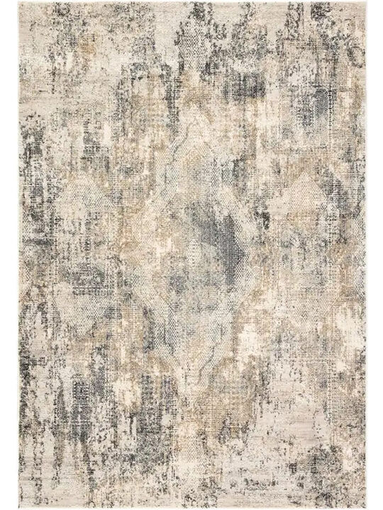 Cirque Ramsey Gray 5' X 7'6" Rug
