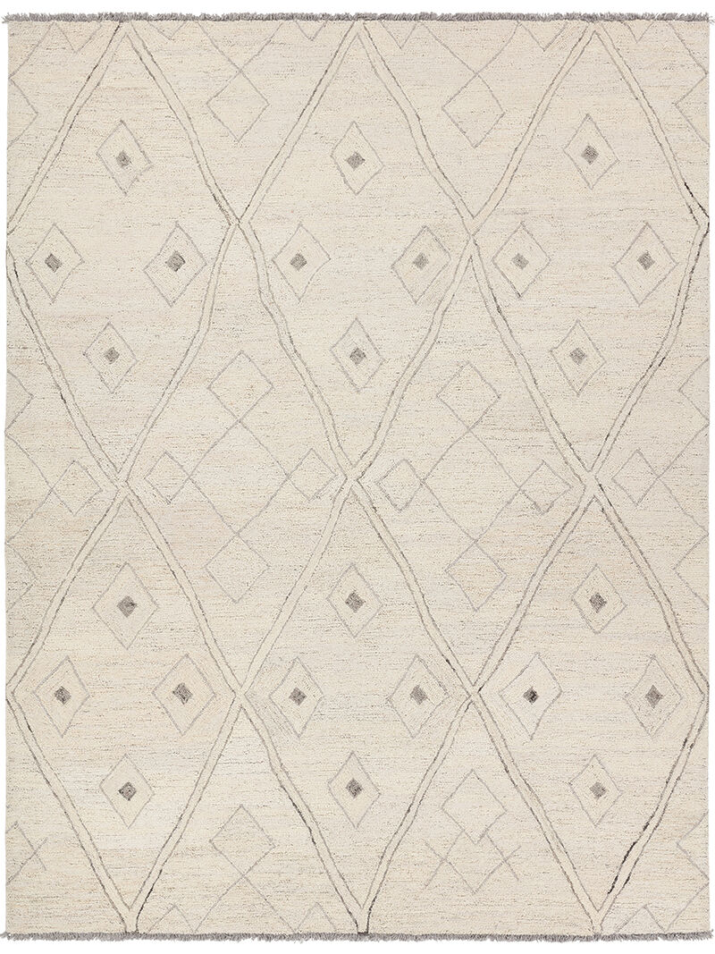 Hadi Ismael White 10' x 14' Rug