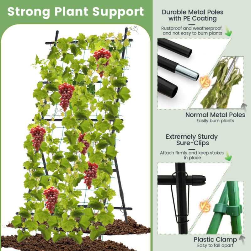 Hivvago 74 Inch Garden Cucumber Trellis with PE-Coated Frame for Climbing Plants