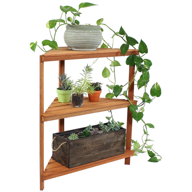 Sunnydaze Meranti Wood/Teak Oil Finish 3-Tier Corner Plant Stand - 36 in