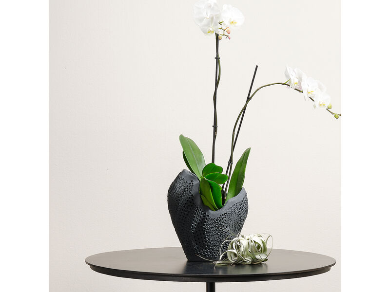 Eclipse Vase