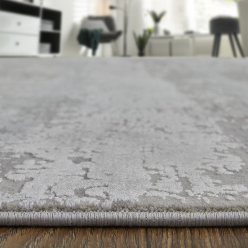Cadiz 3888F Taupe/Gray/Silver 3'1" x 5' Rug