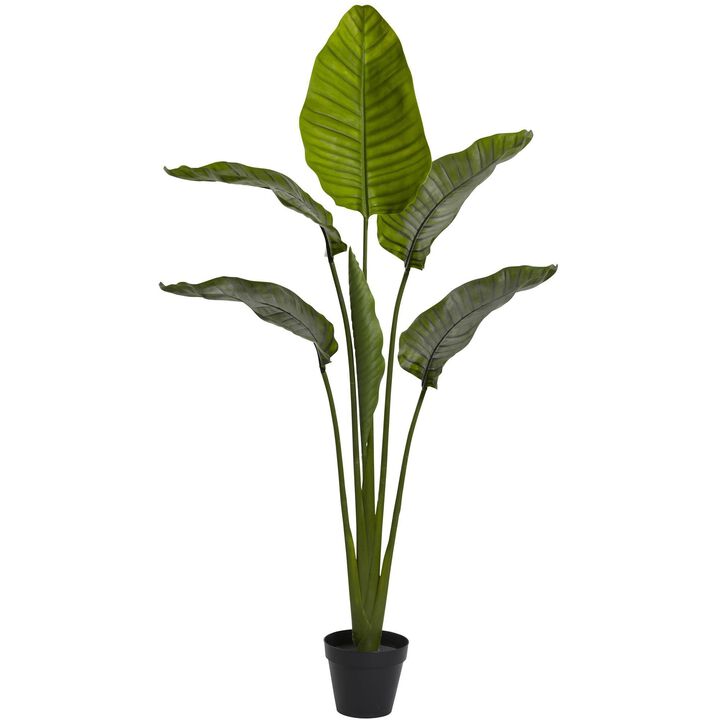 Nearly Natural 64-in Travelers Palm Tree w/6 Lvs UV Resist (Indoor/Outdoor)