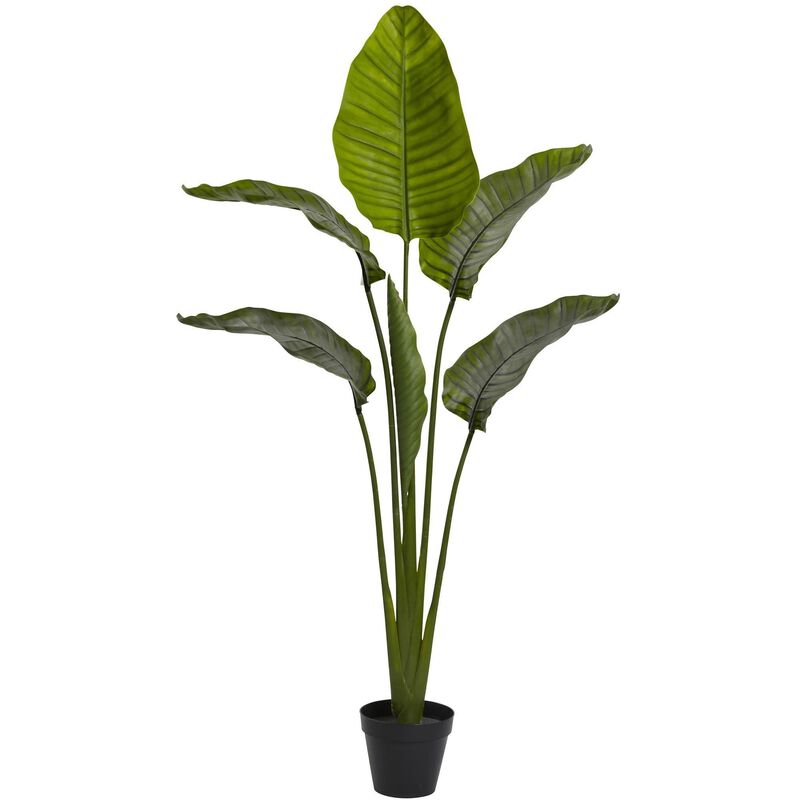 Nearly Natural 64-in Travelers Palm Tree w/6 Lvs UV Resist (Indoor/Outdoor)