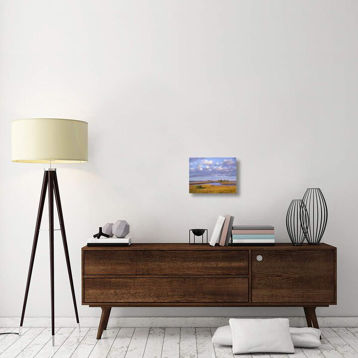 Saltwater marshes at Cedar Key, Florida-Canvas Art-16x12