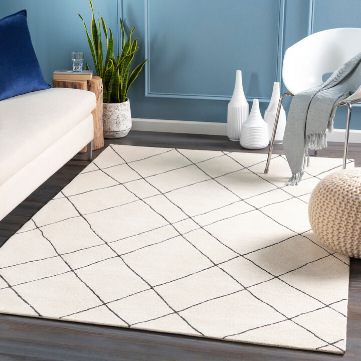 Sinop SNP-2304 4' x 6' Beige Rug