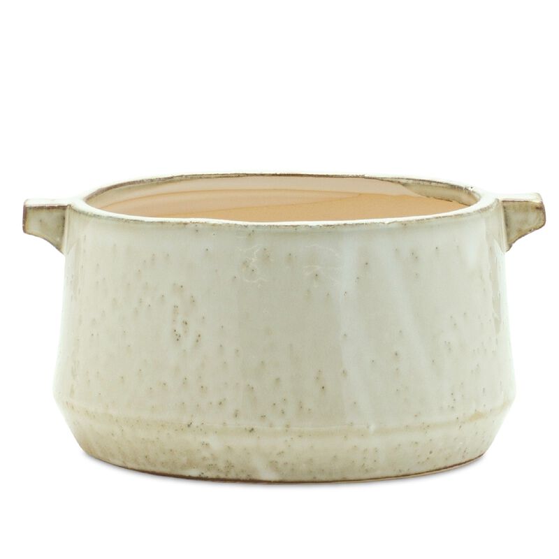Elegant Bowl Planter for Modern Plant Display and Home Décor