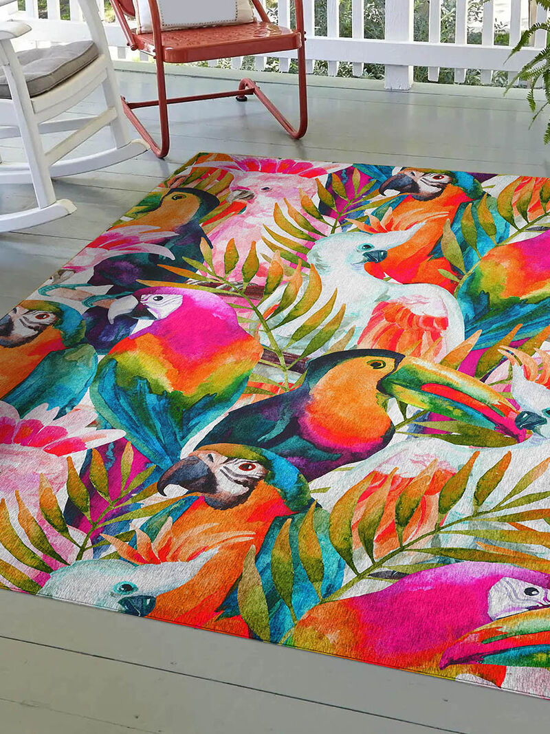 Tropics TC5 Collection