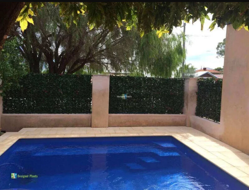 Artificial Photinia Hedge Panel Wall 40" x 40" 11SQ FT Commercial Grade UV Resistant