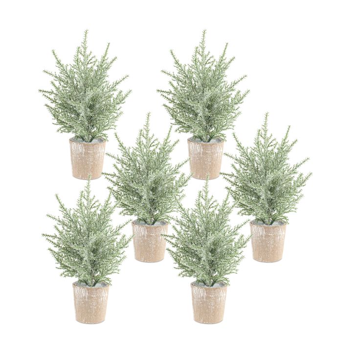 Set of 6 Frosted Holiday Pine Trees in Paper Pots for Festive Home Décor
