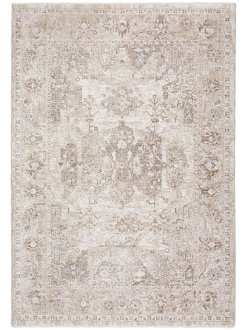 Cyprus CY3 Beige 3' x 5' Rug