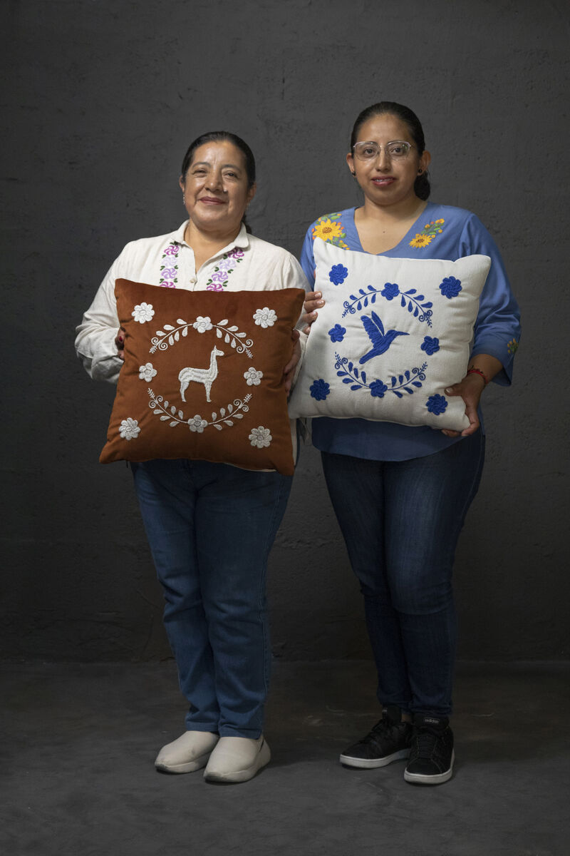LLAMA Hand Embroidered Decorative Pillows in Olive Green Velvet by ANDEAN, Set of 2, In Stock