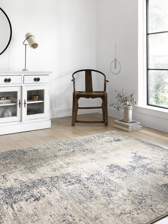 Teagan TEA07 Natural/Denim 5'3" x 7'6" Rug