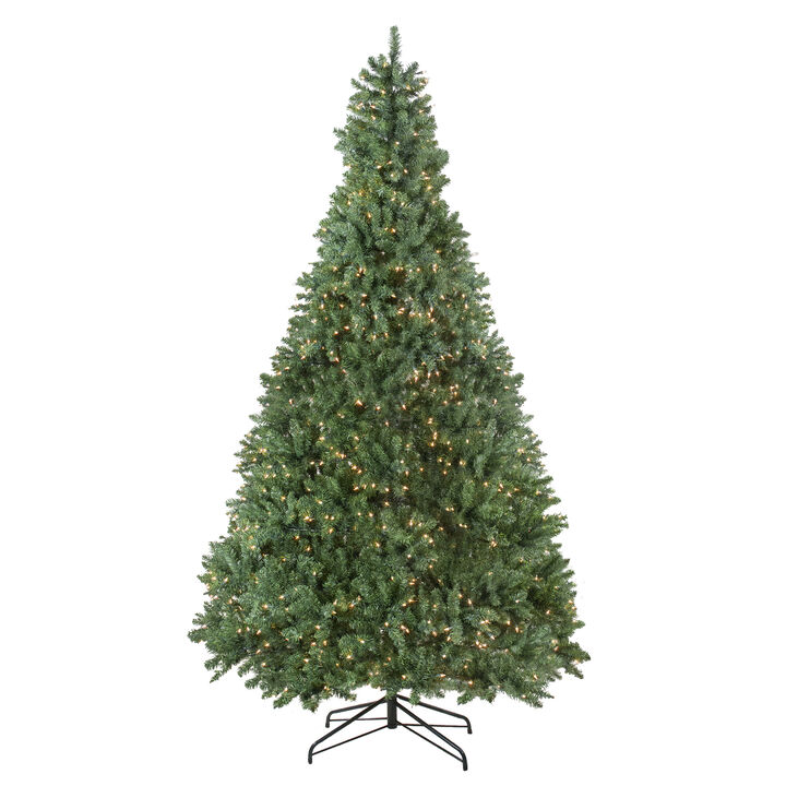 9.5' Pre-Lit Full Buffalo Fir Artificial Christmas Tree - Clear Lights