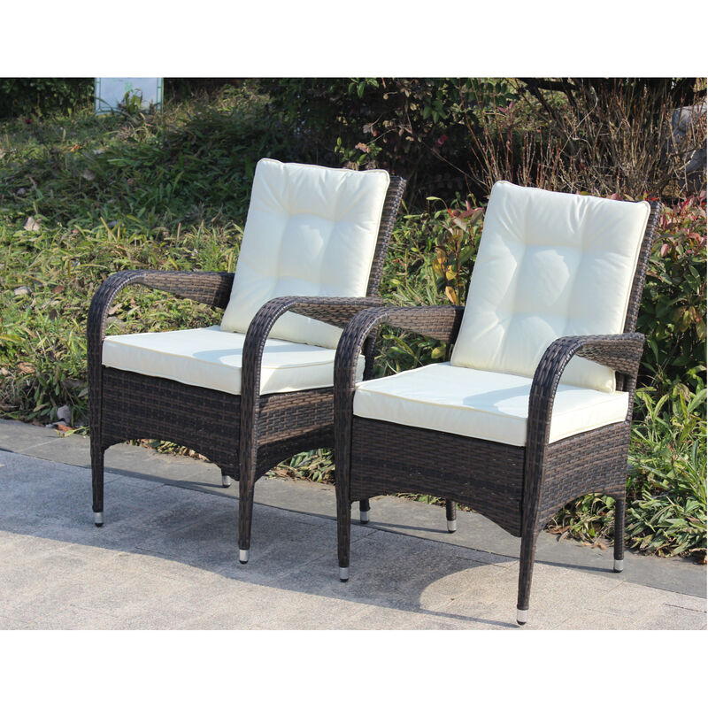 2-Piece Liberatore Dining Chairs With Cushions (Cushion)