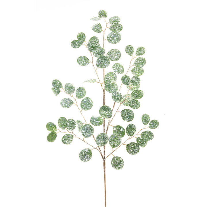 Set of 12 Frosted Silver Dollar Eucalyptus Sprays for Elegant Winter Décor and Floral Arrangements