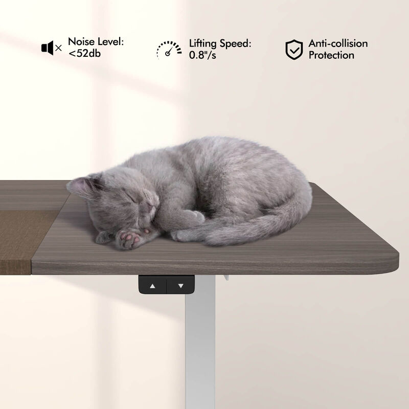 Costway Electric Height Adjustable Standing Desk, Sit to Stand Computer Workstation Home Office Desk