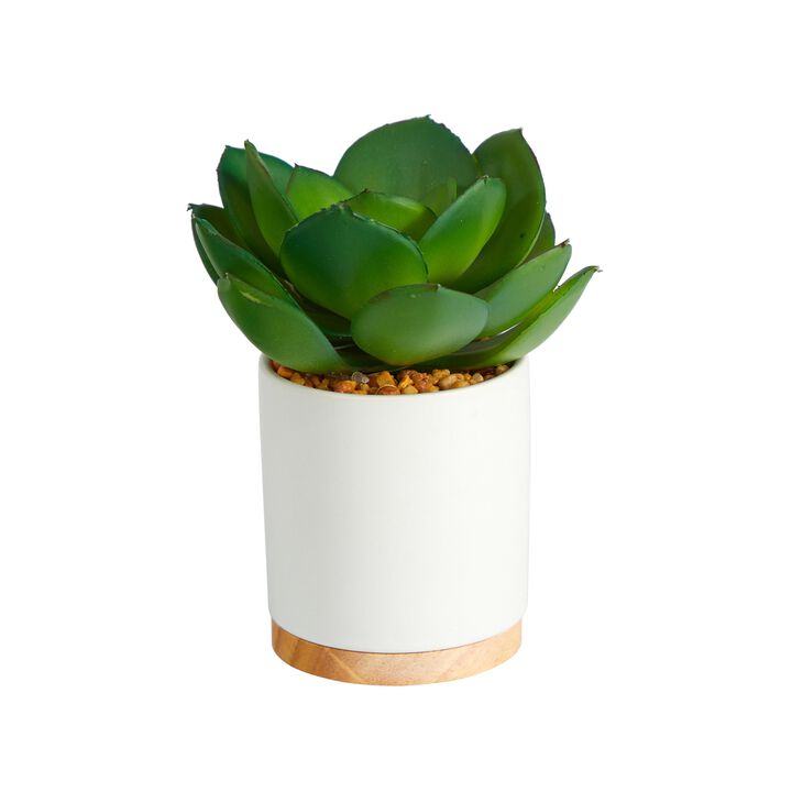 Nearly Natural 6-in Succulent Artificial Plant in White Ceramic Planter Nearly Natural 6-in Succulent Artificial Plant in White Ceramic Planter