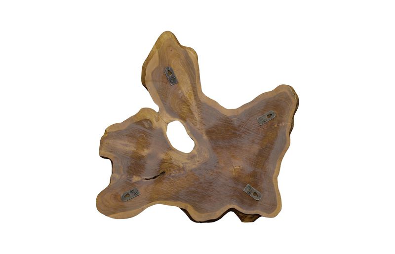 Freeform Teak Wall Slice