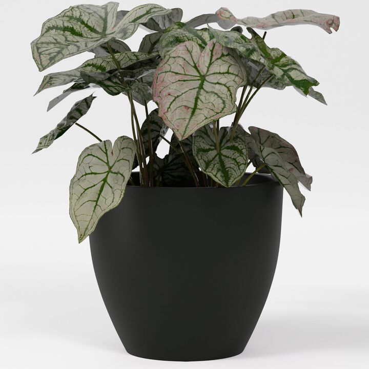 Greenline Fiberglass Lucy Large Indoor/Outdoor Round Planter - 33 in x 33 in x 29 in