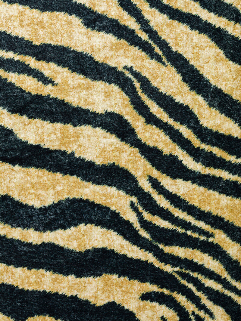 Akina AK1 Gold 3' x 5' Rug