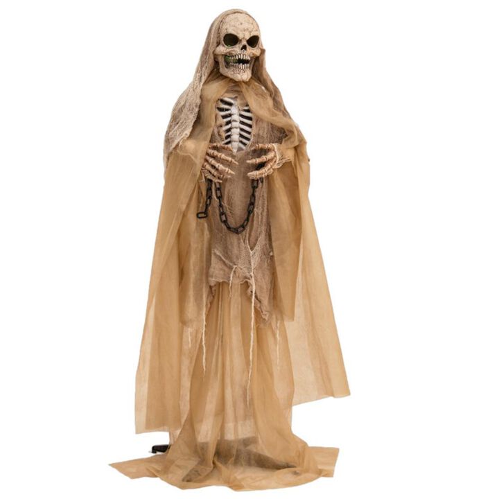 Hivvago Lighted and Animated Halloween Decoration Outdoor Skeleton with LED