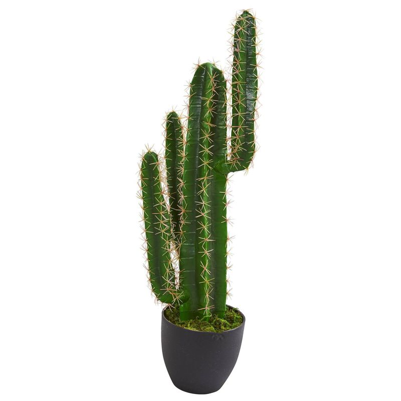 Nearly Natural 2.5-in Cactus Artificial Plant