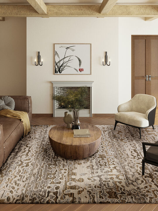 Denizi DZ6 Mocha 5'3" x 7'8" Rug