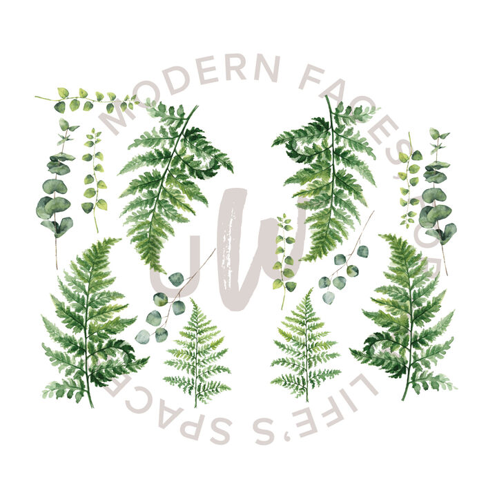 Ferns and Eucalyptus Ferns and Eucalyptus