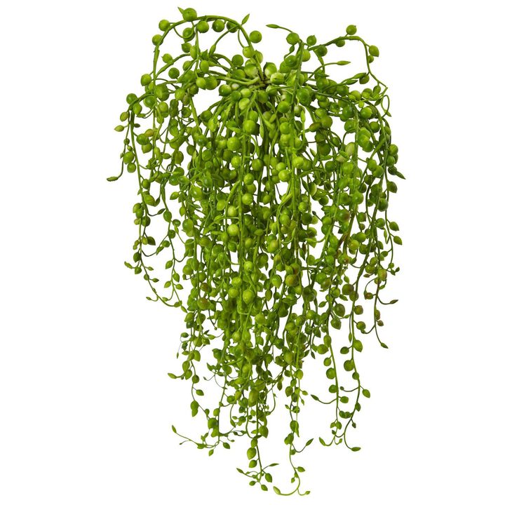 Nearly Natural 15-in Senecio Succulent (Set of 3)
